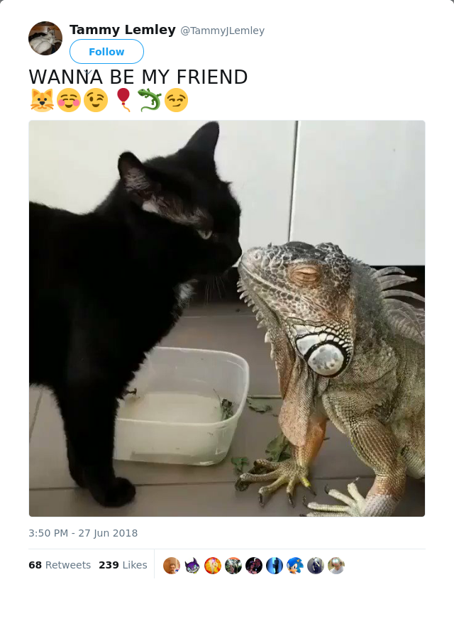 RT @TammyJLemley: WANNA BE MY FRIEND
🐱☺😉🎈🦎😏