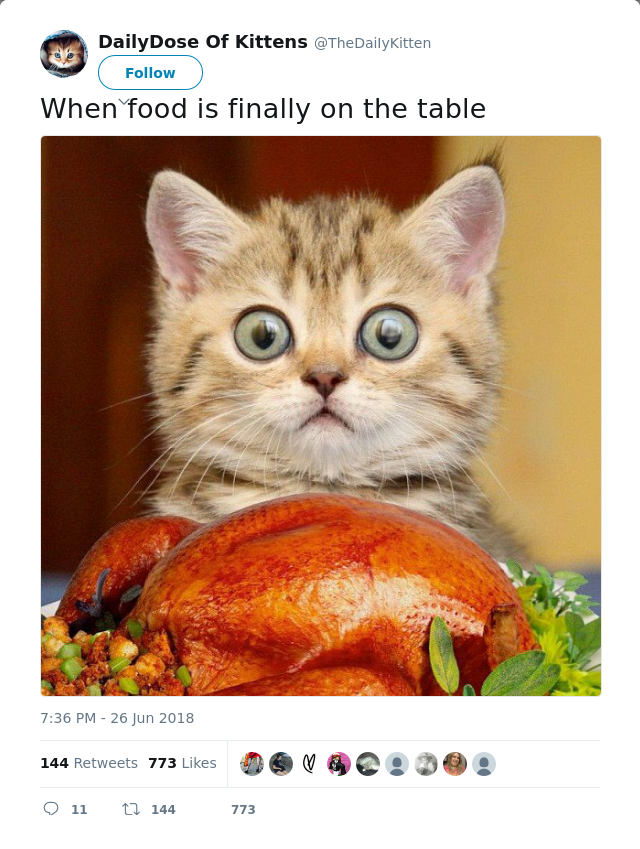 RT @TheDaiIyKitten: When food is finally on the table