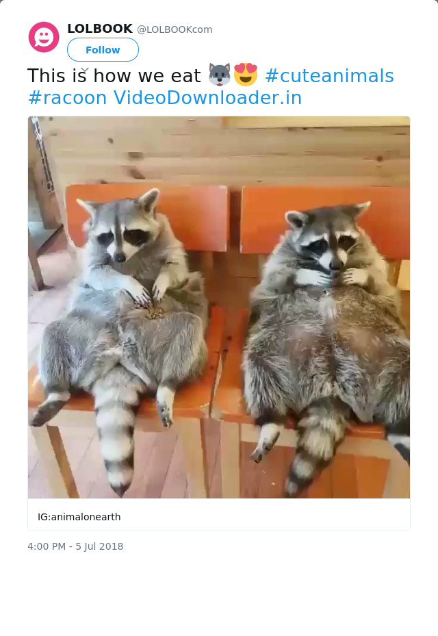 RT @LOLBOOKcom: This is how we eat 🐺😍 #cuteanimals #racoon