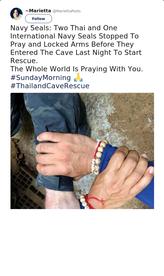 RT @MariettaPosts: Navy Seals: Two Thai and One International Navy Seals Stopped To Pray and Locked Arms Before They Entered The Cave Last…