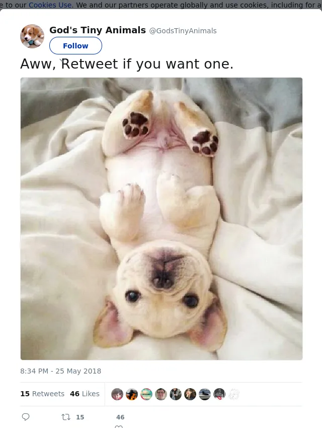 RT @GodsTinyAnimals: Aww, Retweet if you want one.