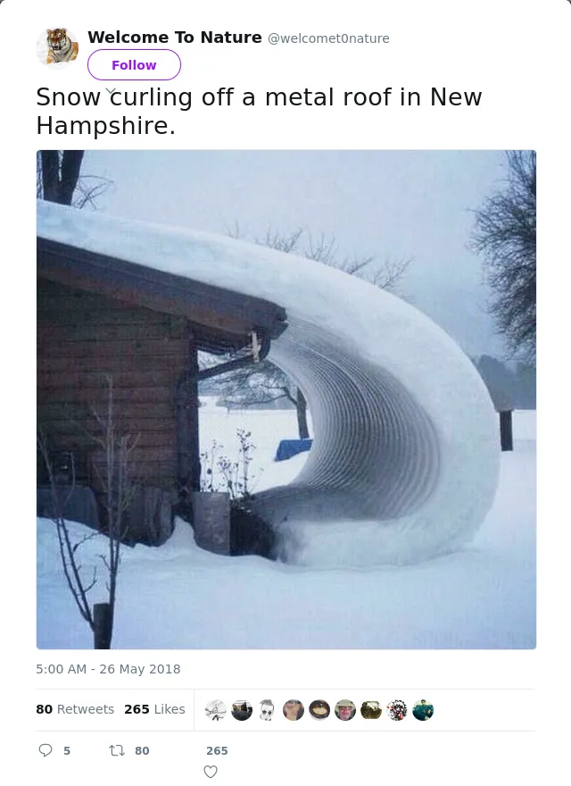 RT @welcomet0nature: Snow curling off a metal roof in New Hampshire.