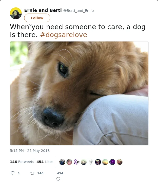 RT @Berti_and_Ernie: When you need someone to care, a dog is there. #dogsarelove