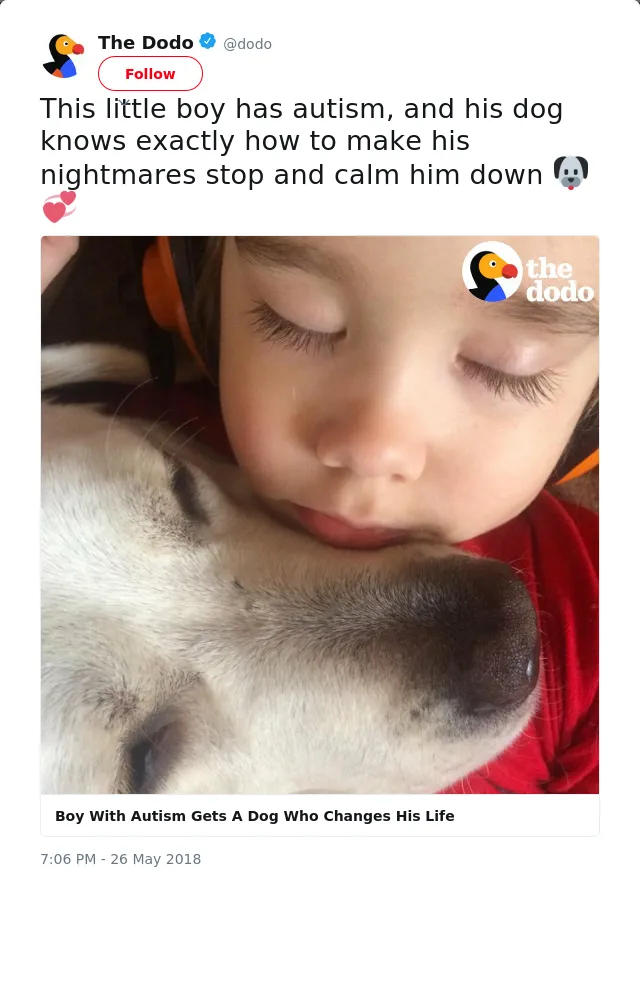 RT @dodo: This little boy has autism, and his dog knows exactly how to make his nightmares stop and calm him down 🐶💞