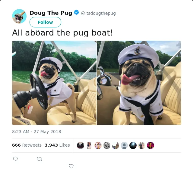 RT @itsdougthepug: All aboard the pug boat!