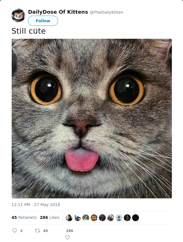 RT @TheDaiIyKitten: Still cute