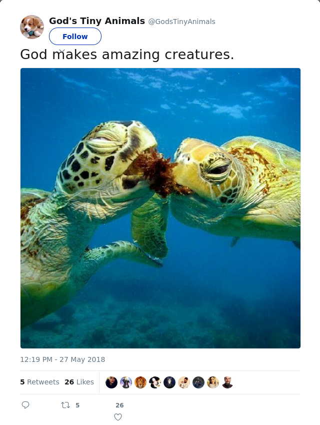 RT @GodsTinyAnimals: God makes amazing creatures.