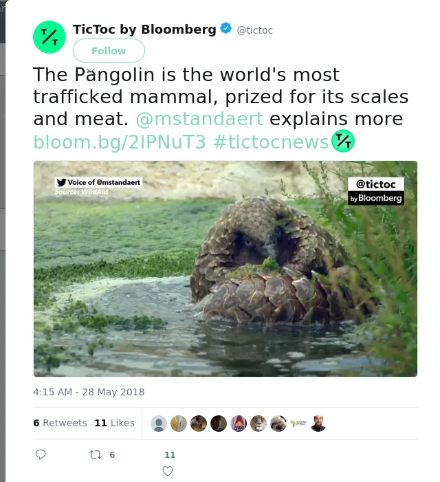 RT @tictoc: The Pangolin is the world's most trafficked mammal, prized for its scales and meat. @mstandaert explains more