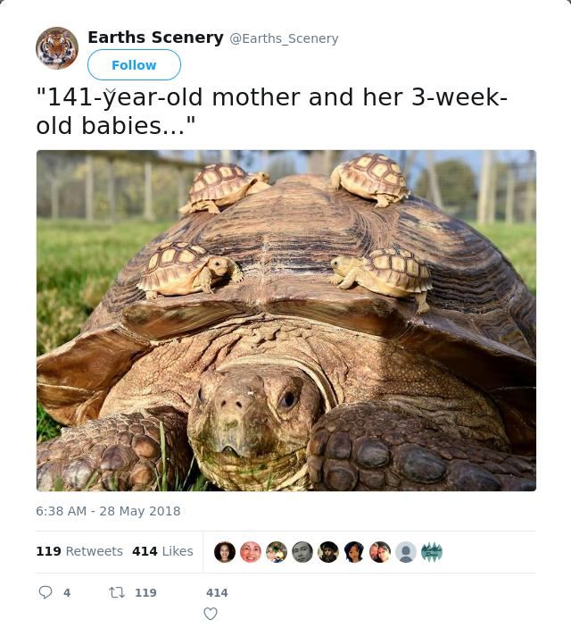 RT @Earths_Scenery: "141-year-old mother and her 3-week-old babies..."