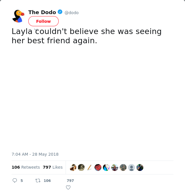 RT @dodo: Layla couldn't believe she was seeing her best friend again.