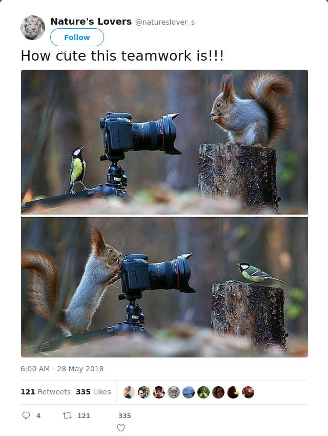 RT @natureslover_s: How cute this teamwork is!!!