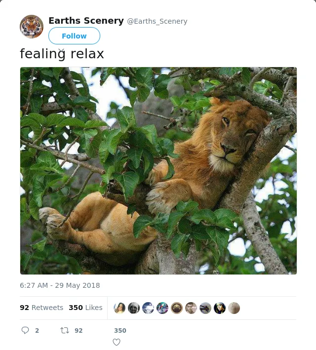 RT @Earths_Scenery: fealing relax