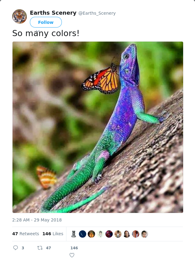 RT @Earths_Scenery: So many colors!