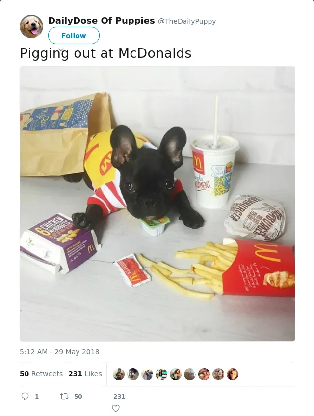 RT @TheDaiIyPuppy: Pigging out at McDonalds