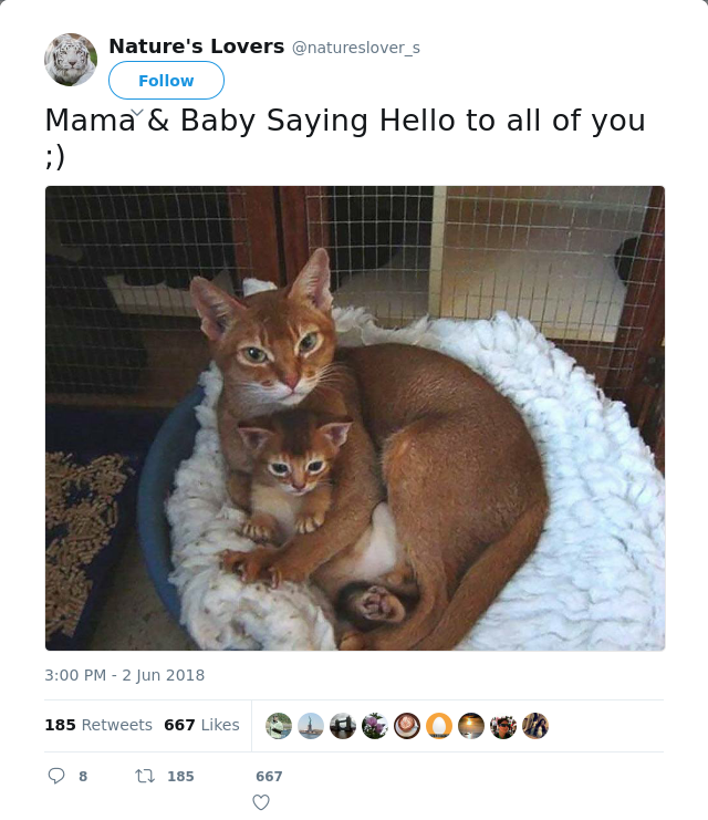 RT @natureslover_s: Mama &amp; Baby Saying Hello to all of you ;)