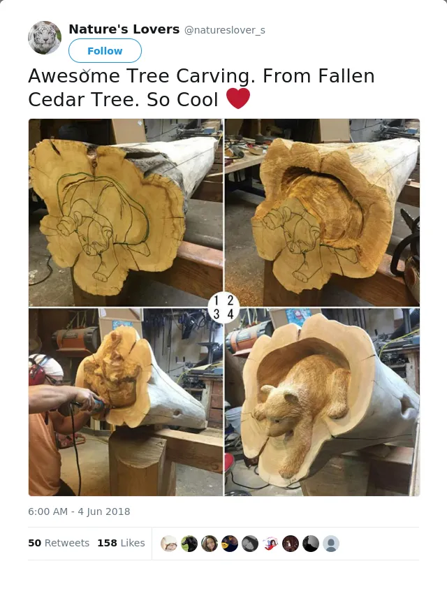 RT @natureslover_s: Awesome Tree Carving. From Fallen Cedar Tree. So Cool ❤️