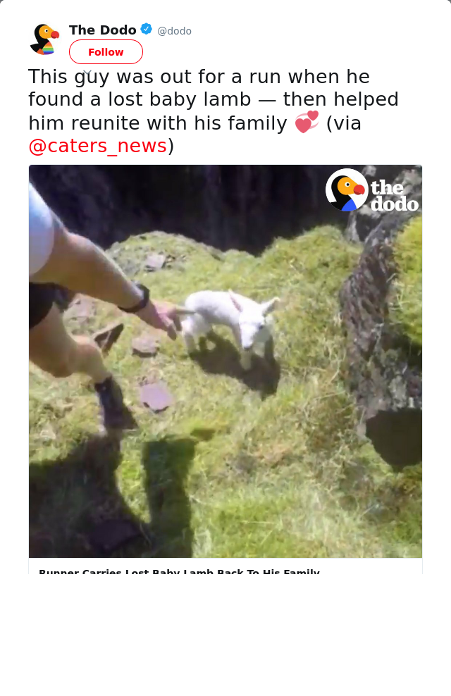RT @dodo: This guy was out for a run when he found a lost baby lamb — then helped him reunite with his family 💞 (via @caters_news)