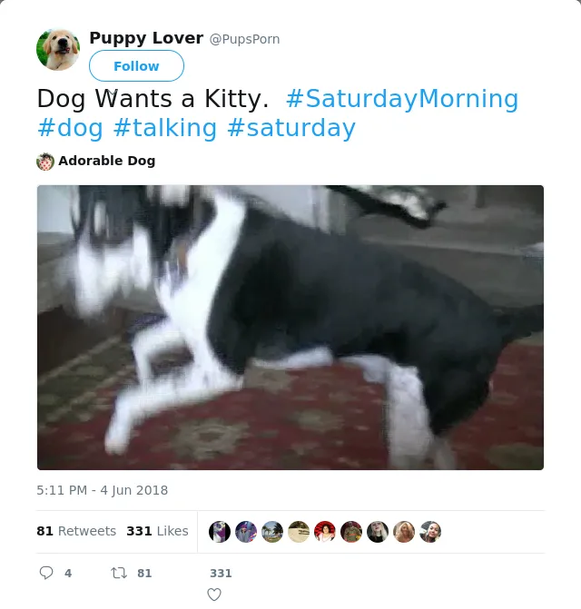 RT @PupsPorn: Dog Wants a Kitty.  #SaturdayMorning  #dog #talking #saturday
