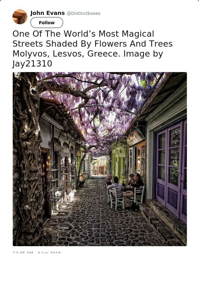 RT @Distinctboxes: One Of The World’s Most Magical Streets Shaded By Flowers And Trees Molyvos, Lesvos, Greece. Image by Jay21310