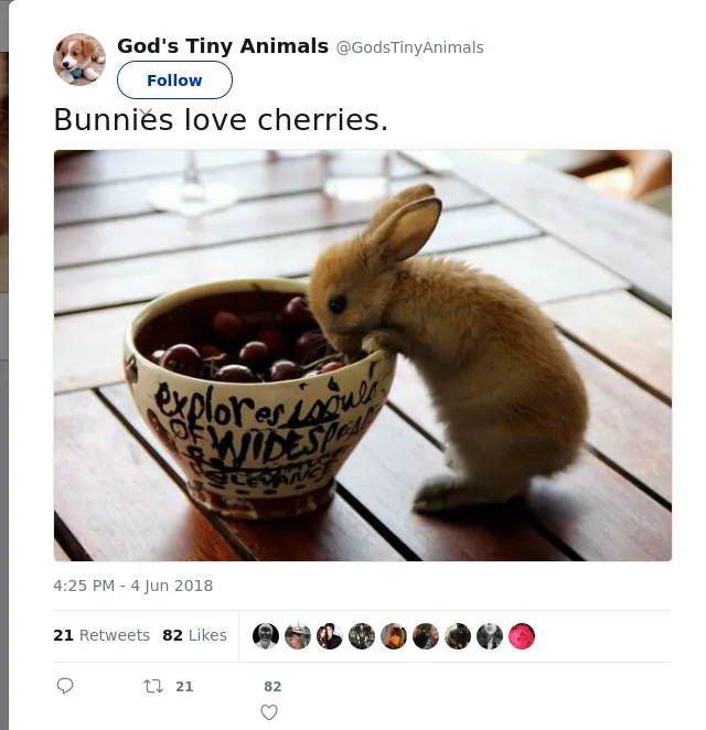 RT @GodsTinyAnimals: Bunnies love cherries.