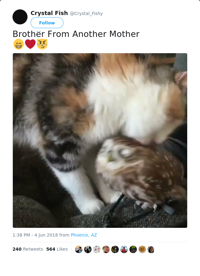 RT @Crystal_Fishy: Brother From Another Mother
😁❤️😼