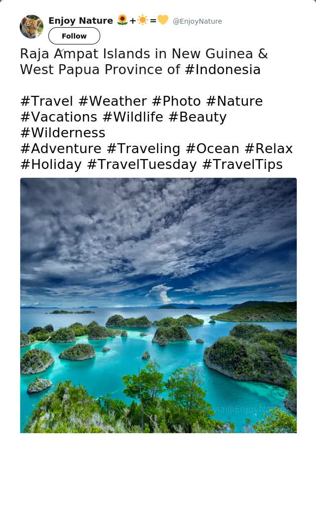 RT @EnjoyNature: Raja Ampat Islands in New Guinea &amp; West Papua Province of #Indonesia

#Travel #Weather #Photo #Nature #Vacations #Wildlife…