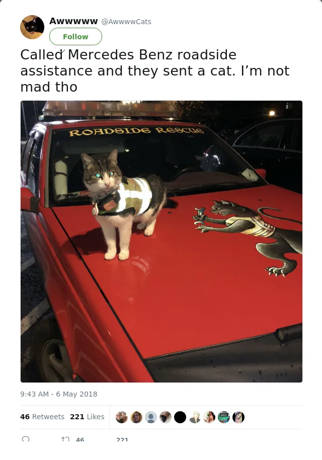 RT @AwwwwCats: Called Mercedes Benz roadside assistance and they sent a cat. I’m not mad tho