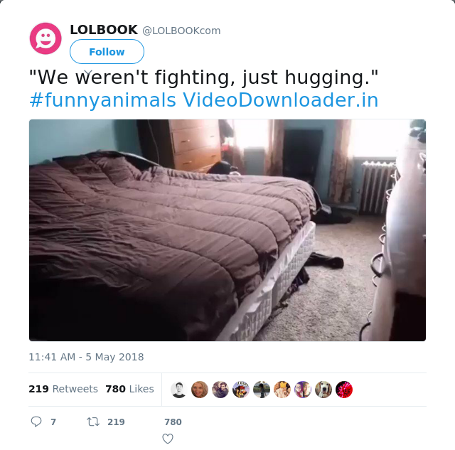 RT @LOLBOOKcom: "We weren't fighting, just hugging." #funnyanimals