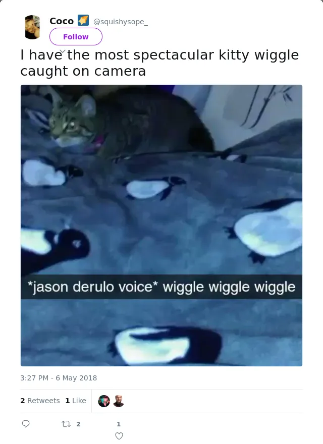 RT @squishysope_: I have the most spectacular kitty wiggle caught on camera