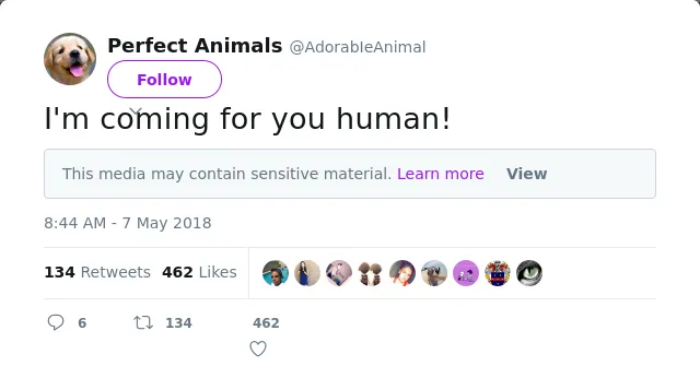 RT @AdorabIeAnimal: I'm coming for you human!