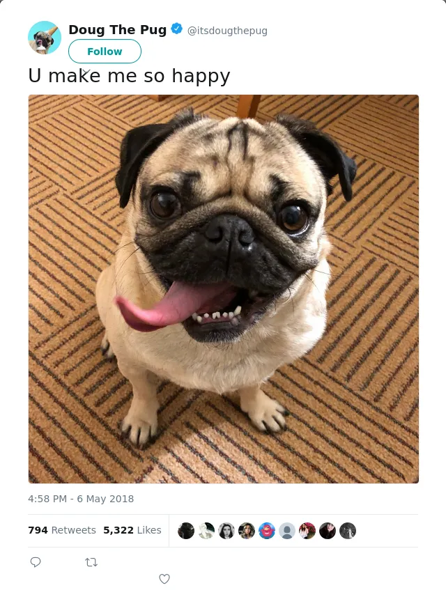 RT @itsdougthepug: U make me so happy