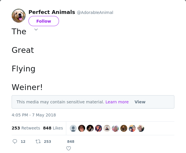RT @AdorabIeAnimal: The

Great

Flying

Weiner!