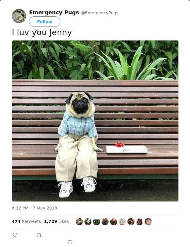 RT @EmergencyPugs: I luv you Jenny