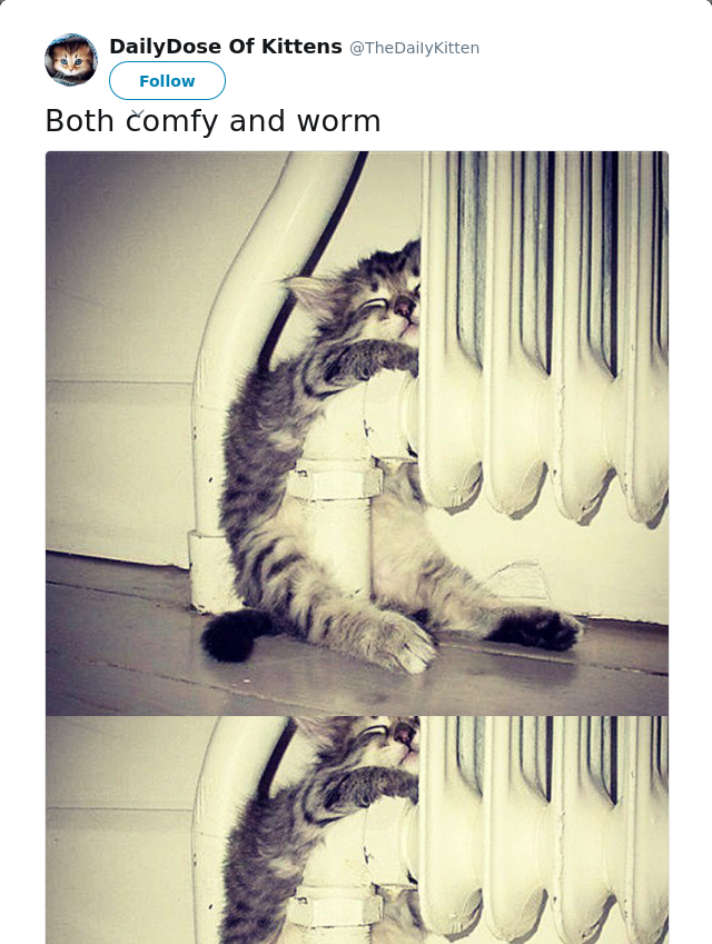 RT @TheDaiIyKitten: Both comfy and worm