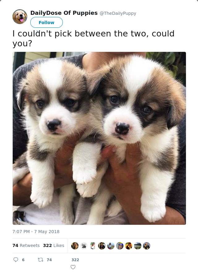 RT @TheDaiIyPuppy: I couldn't pick between the two, could you?