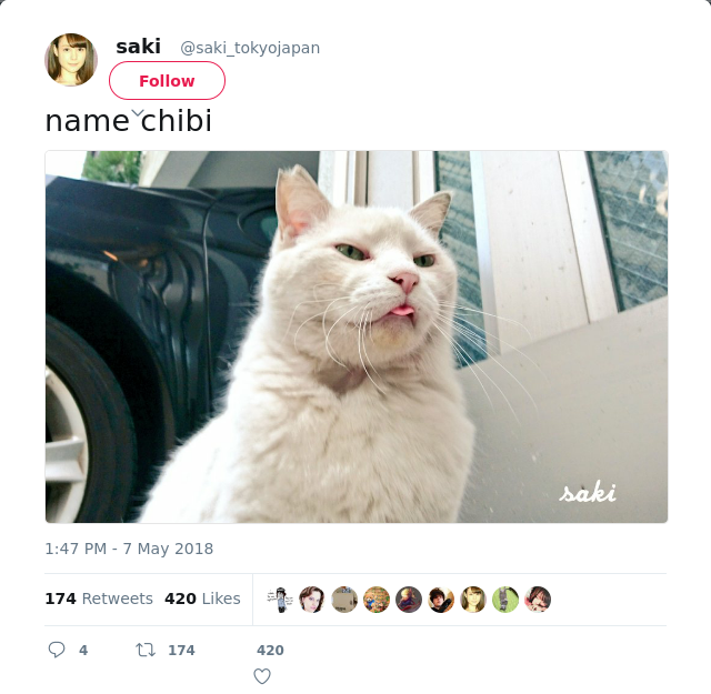 RT @saki_tokyojapan: name chibi