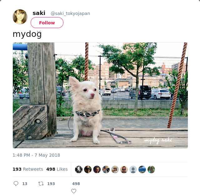 RT @saki_tokyojapan: mydog