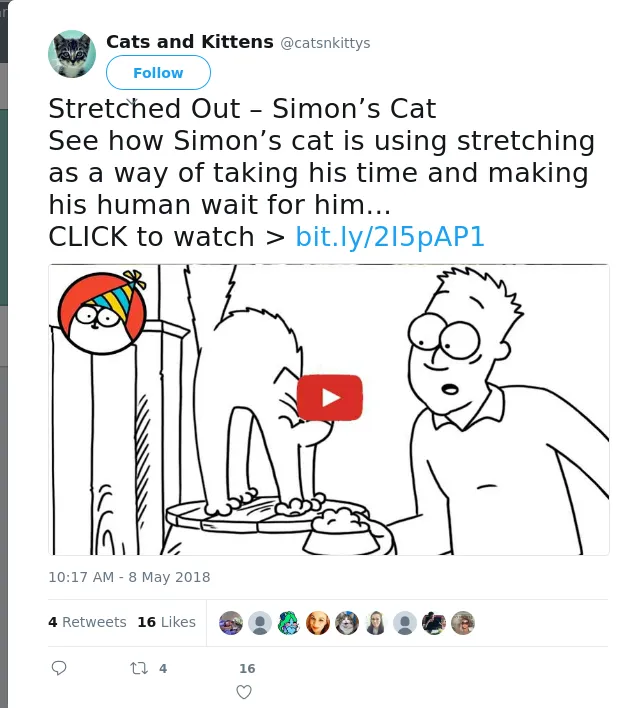 RT @catsnkittys: Stretched Out – Simon’s Cat
See how Simon’s cat is using stretching as a way of taking his time and making his human wait…