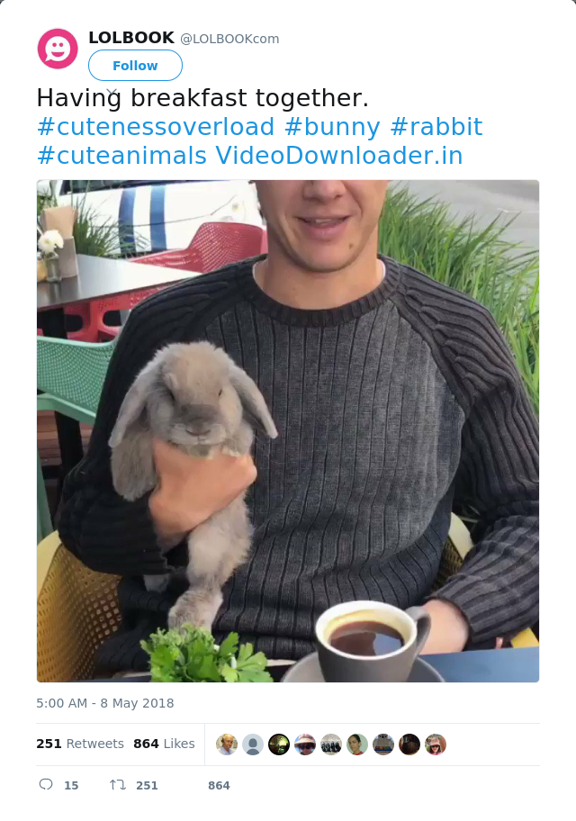 RT @LOLBOOKcom: Having breakfast together. #cutenessoverload #bunny #rabbit #cuteanimals