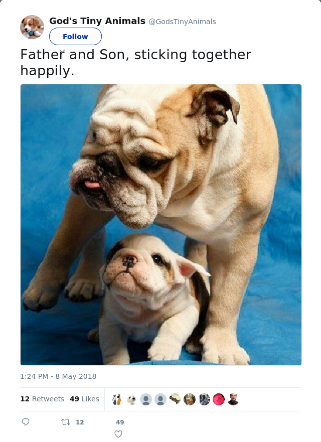 RT @GodsTinyAnimals: Father and Son, sticking together happily.