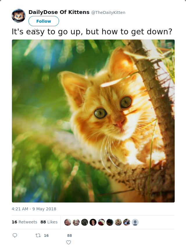 RT @TheDaiIyKitten: It's easy to go up, but how to get down?