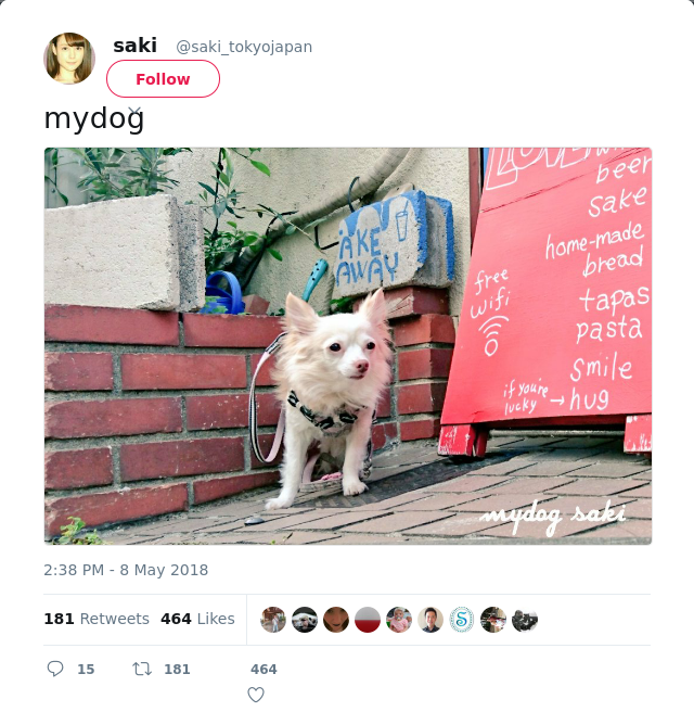 RT @saki_tokyojapan: mydog