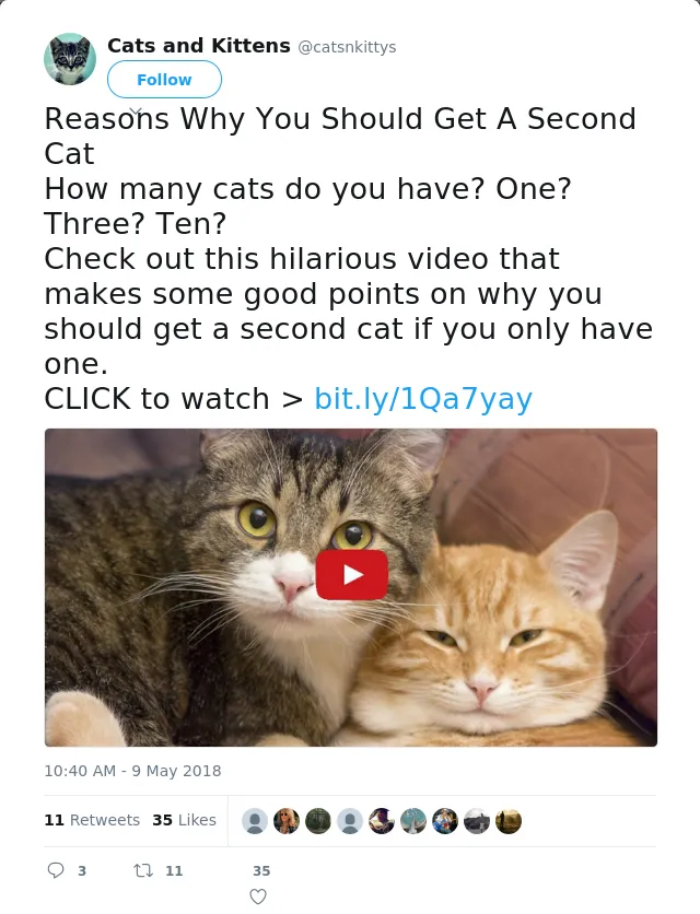 RT @catsnkittys: Reasons Why You Should Get A Second Cat
How many cats do you have? One? Three? Ten?
Check out this hilarious video that ma…