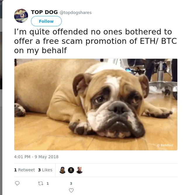 RT @topdogshares: I’m quite offended no ones bothered to offer a free scam promotion of ETH/ BTC on my behalf