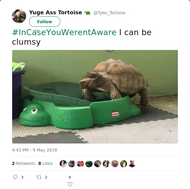 RT @Tyler_Tortoise: #InCaseYouWerentAware I can be clumsy