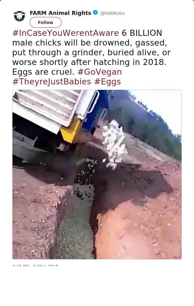 RT @FARMUSA: #InCaseYouWerentAware 6 BILLION male chicks will be drowned, gassed, put through a grinder, buried alive, or worse shortly aft…