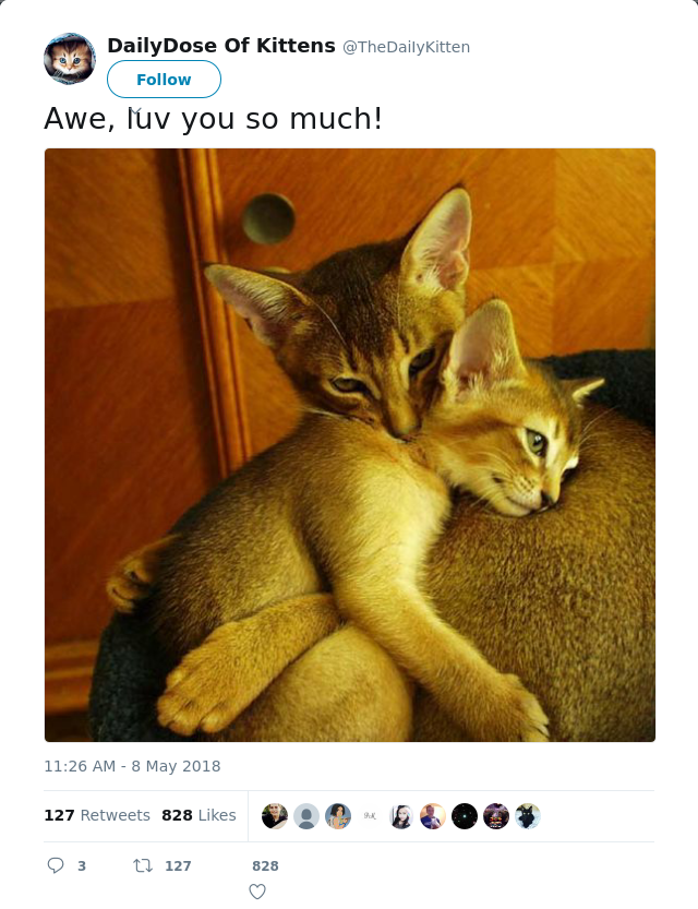 RT @TheDaiIyKitten: Awe, luv you so much!