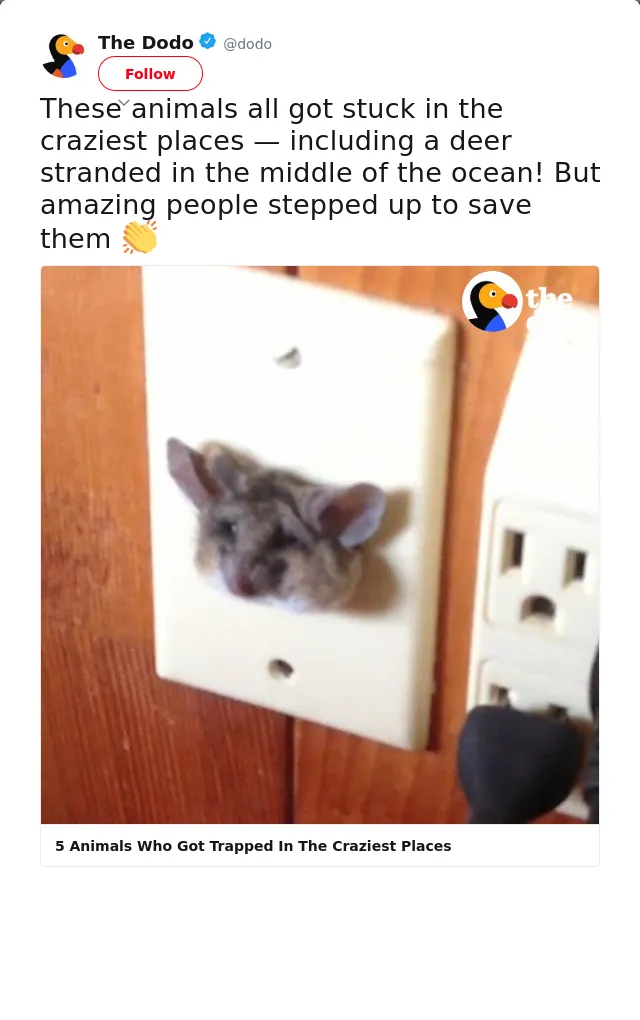RT @dodo: These animals all got stuck in the craziest places — including a deer stranded in the middle of the ocean! But amazing people ste…