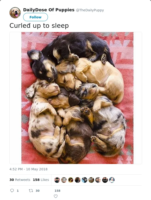RT @TheDaiIyPuppy: Curled up to sleep
