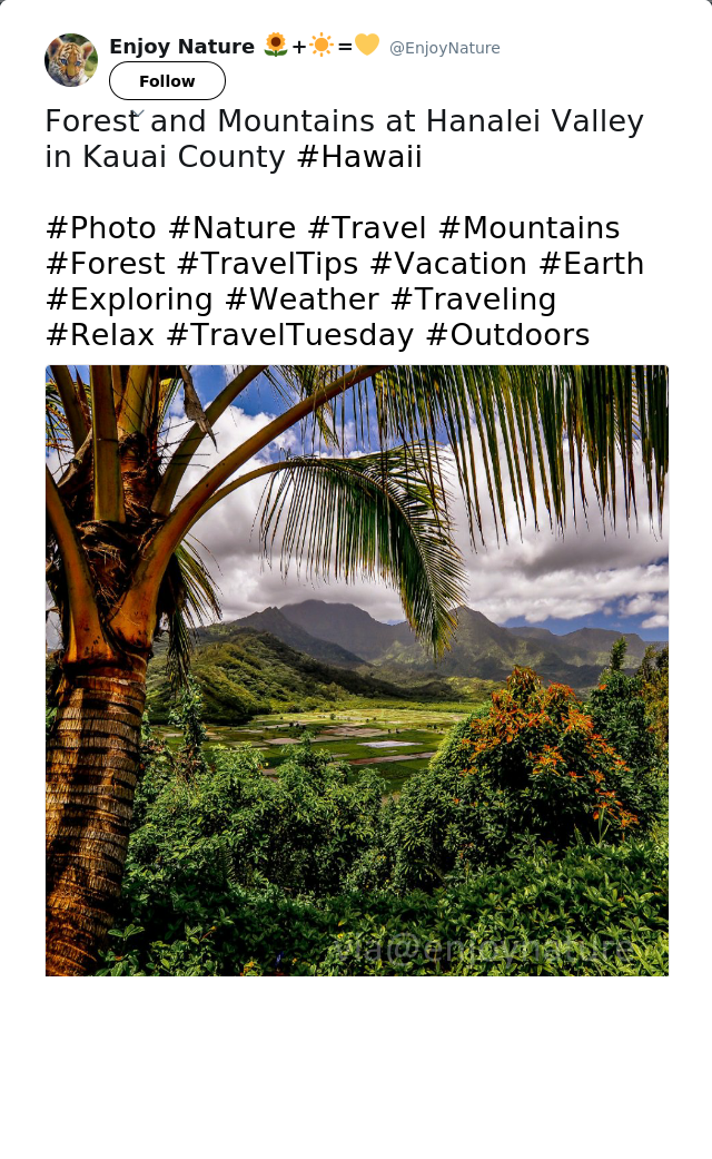 RT @EnjoyNature: Forest and Mountains at Hanalei Valley in Kauai County #Hawaii

#Photo #Nature #Travel #Mountains #Forest #TravelTips #Vac…